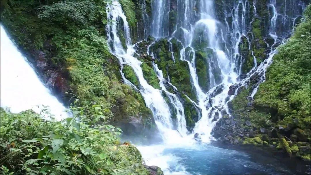 沪江开心词场